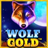 Wolf Gold · ចចកមាស